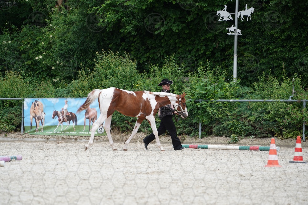 s_A9_06432.jpg